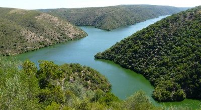 ruta2
